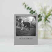 Dog Park Briefkaart 15 (Staand voorkant)