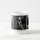 Dog Park Mok (Center)