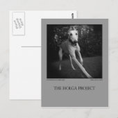 Dog Park Postcard 11 Briefkaart (Voorkant / Achterkant)