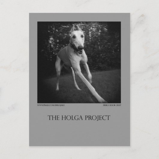 Dog Park Postcard 11 Briefkaart (Voorkant)