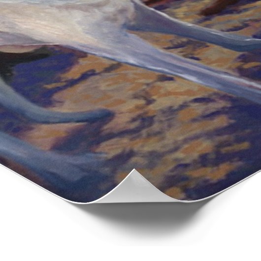 DOG PARK POSTER (Hoek)