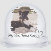 Dog Paw & Hand Typography Pet's Photo Grunge (Arrière)