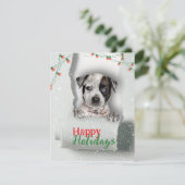 Dog Peeking Christmas Lights Holiday Kaart (Staand voorkant)