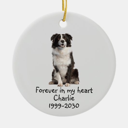 Dog Pet Animal Memorial - Aangepaste foto Keramisch Ornament (Voorkant)