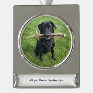 Dog Pet Persoonlijke naam en foto Verzilverd Banner Ornament