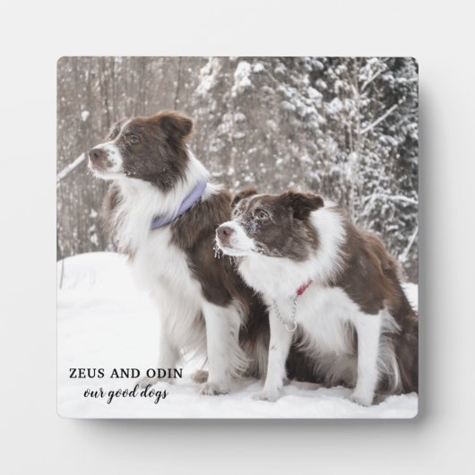 Dog Pet Photo Keepomwille Fotoplaat (Voorkant)
