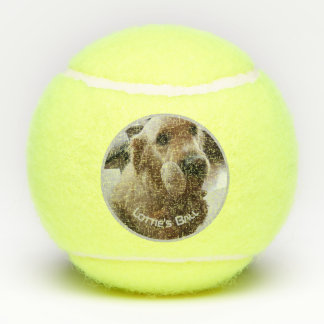 Dog Pet Photo Name Playtoy Tennisballen