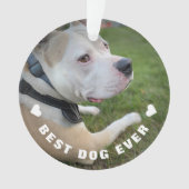 Dog Pet Poem Foto Red Memorial Keepslag Ornament (voorkant)