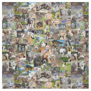 Dog Photo Collage Stof