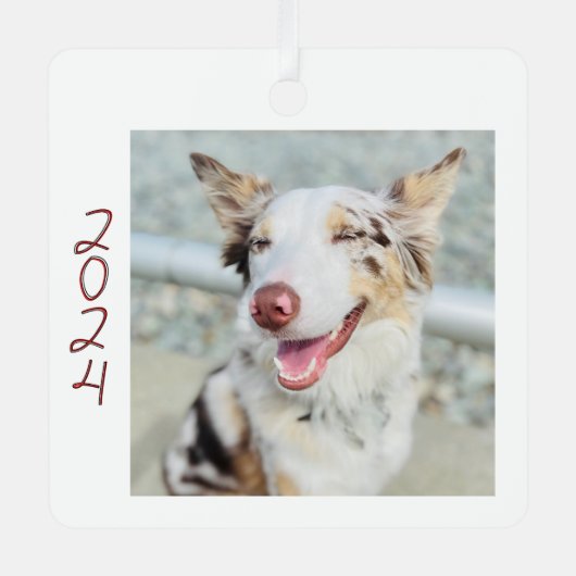 Dog Photo Metal Square Ornament (Voorkant)