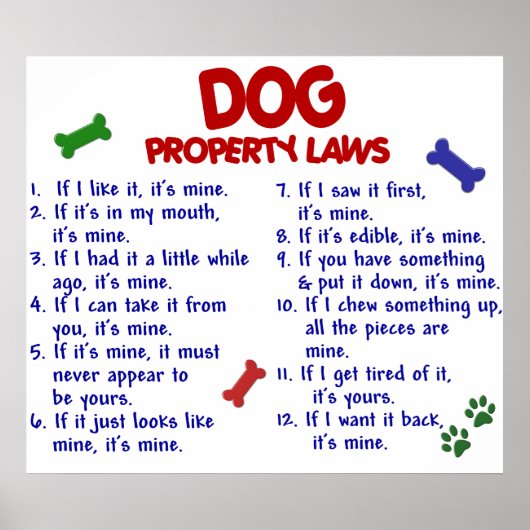 DOG PL2 POSTER (Voorkant)