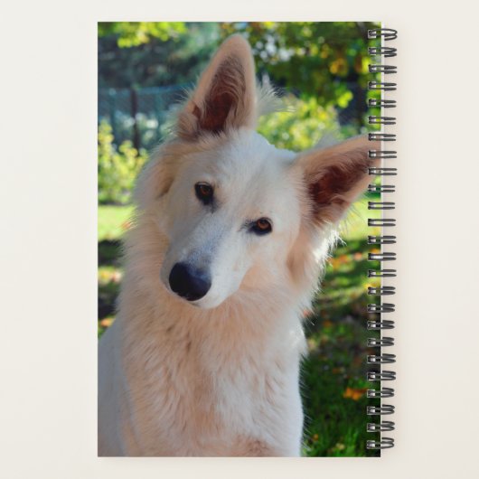 Dog Planner (Achterkant)