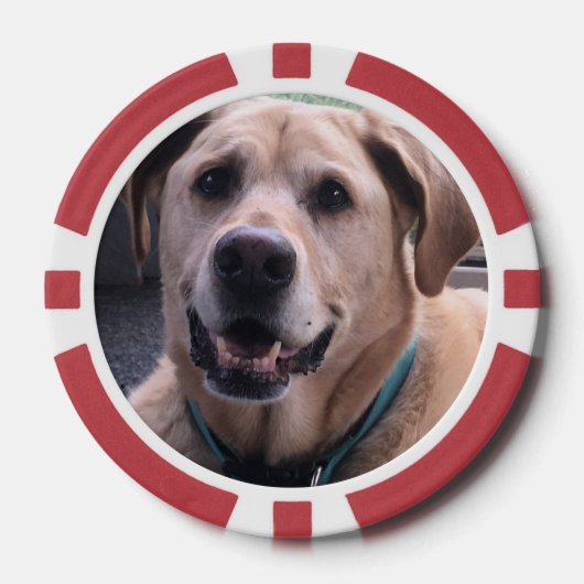 Dog Poker Chips (Voorkant)