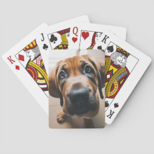 Dog Pokerkaarten