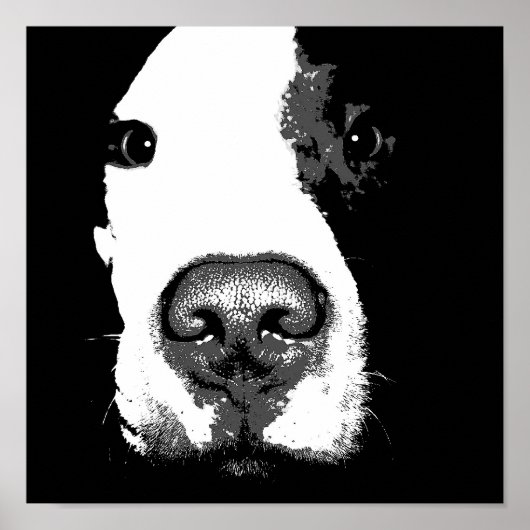 Dog pop art poster (Voorkant)