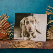 Dog portret fotoplaat (Zijkant)