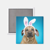 Dog portret met paasbroodoren magneet (Voorkant / Achterkant)