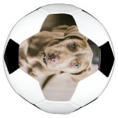 Dog portret voetbal (Gedraaid)