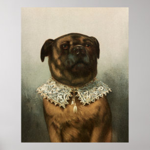Dog Poster