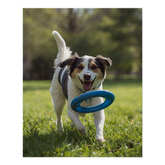 DOG POSTER PERFECT POSTER (Voorkant)