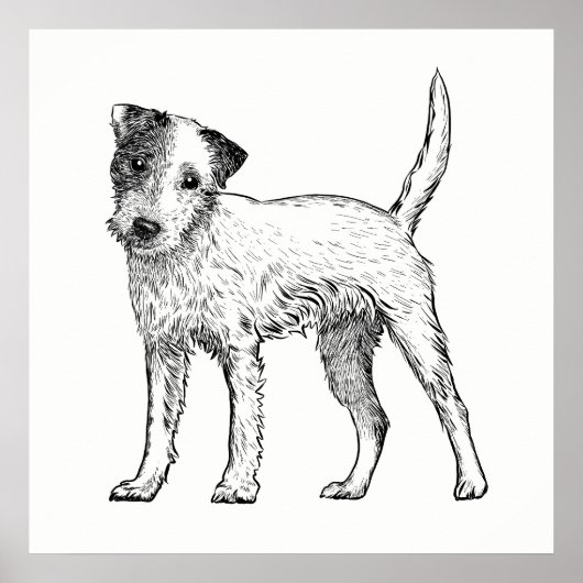 Dog Poster/Wall Art Jack Russell Terrier Poster (Voorkant)