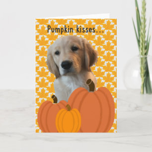 Dog Pumpkin Kisses Thanksgiving Kaart