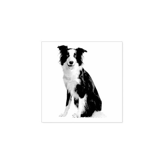 Dog Puppy Border Collie Rubberstempel (Afrduk)