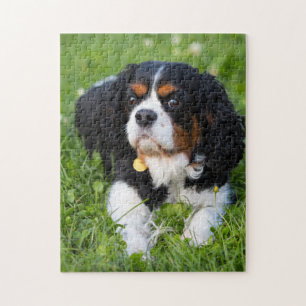 Dog Puzles Animal Pic Cute Sad Puppy Foto van een  Legpuzzel