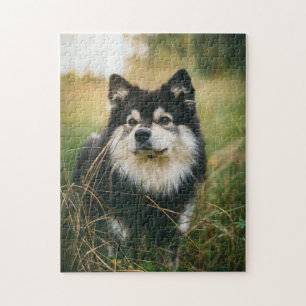 Dog Puzles Animal Pic Cute Sad Puppy Foto van een Legpuzzel