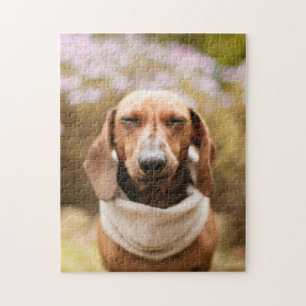 Dog Puzles Animal Pic Cute Sad Puppy Foto van een Legpuzzel