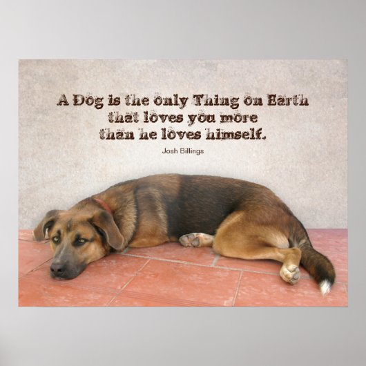 Dog Quote Poster (Voorkant)