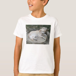 Dog Resting On A Rock T-shirt