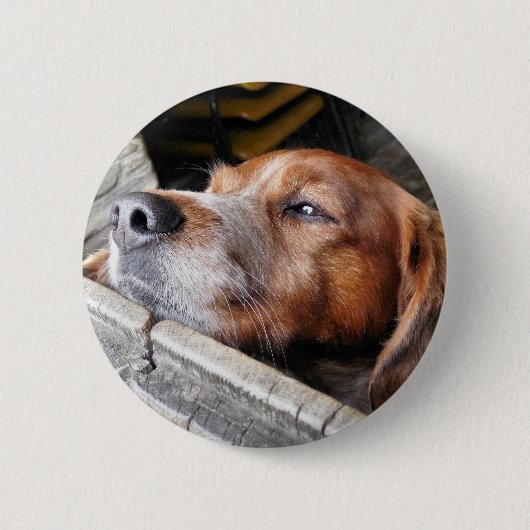 DOG RONDE BUTTON 5,7 CM (Voorkant)