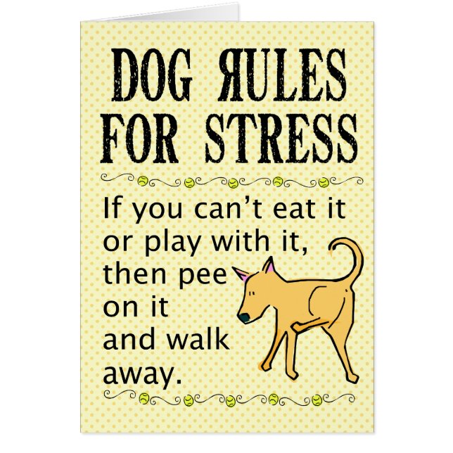 Dog Rules for Stress (Voorkant)