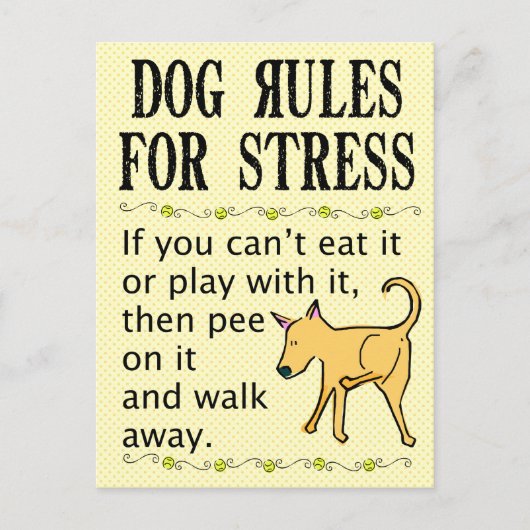 Dog Rules for Stress Briefkaart (Voorkant)