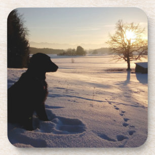 Dog Silhouette in Snowy Landscape Bier Onderzetter