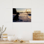 Dog Silhouette in Snowy Landscape Poster (Keuken)