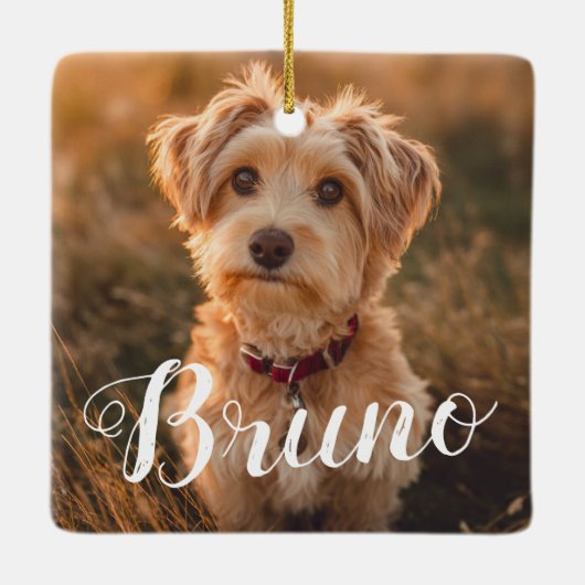 Dog Simple Name Christmas Script Ornament (Achterkant)