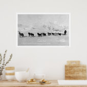 Dog Sled Champions Alaska 1910 Poster (Keuken)