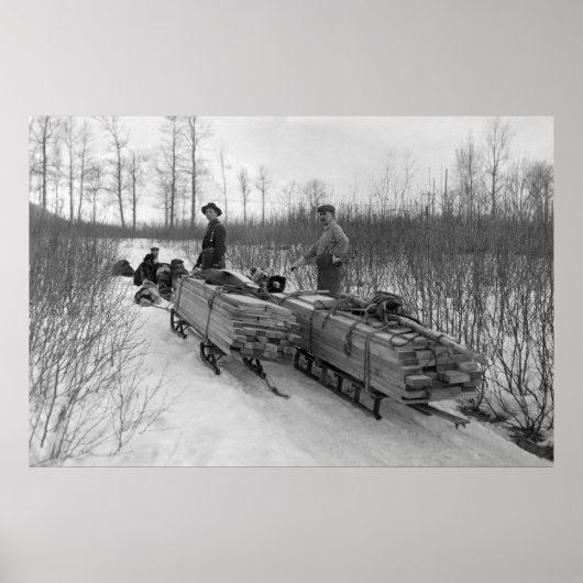 Dog Sled Delivery: 1900 Poster (Voorkant)