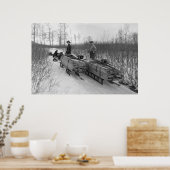 Dog Sled Delivery: 1900 Poster (Keuken)