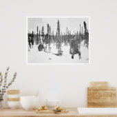 Dog Sled Mannen Fairbanks 1920 Poster (Keuken)