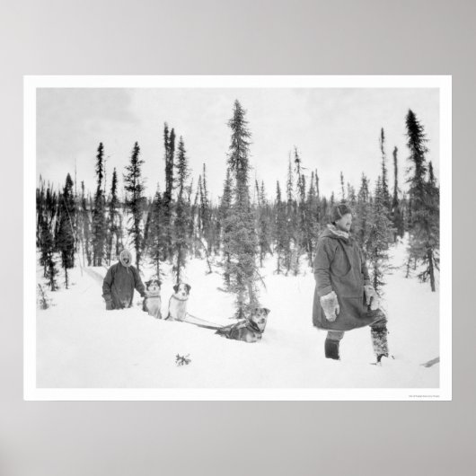 Dog Sled Mannen Fairbanks 1920 Poster (Voorkant)