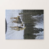 Dog Sledding in Quebec, Canada Legpuzzel (Horizontaal)
