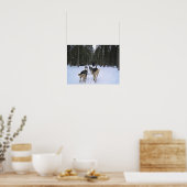 Dog Sledding in Quebec, Canada Poster (Keuken)
