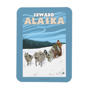 Dog Sledding Scene - Seward, Alaska Magneet