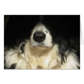 Dog sluiten (Voorkant Horizontaal)