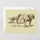 Dog Sniffs Butt Briefkaart (Voorkant / Achterkant)