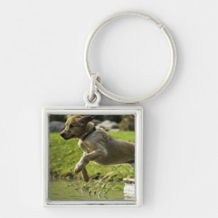 Dog springt in een vijver sleutelhanger