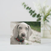 Dog sticker tong uit briefkaart (Staand voorkant)